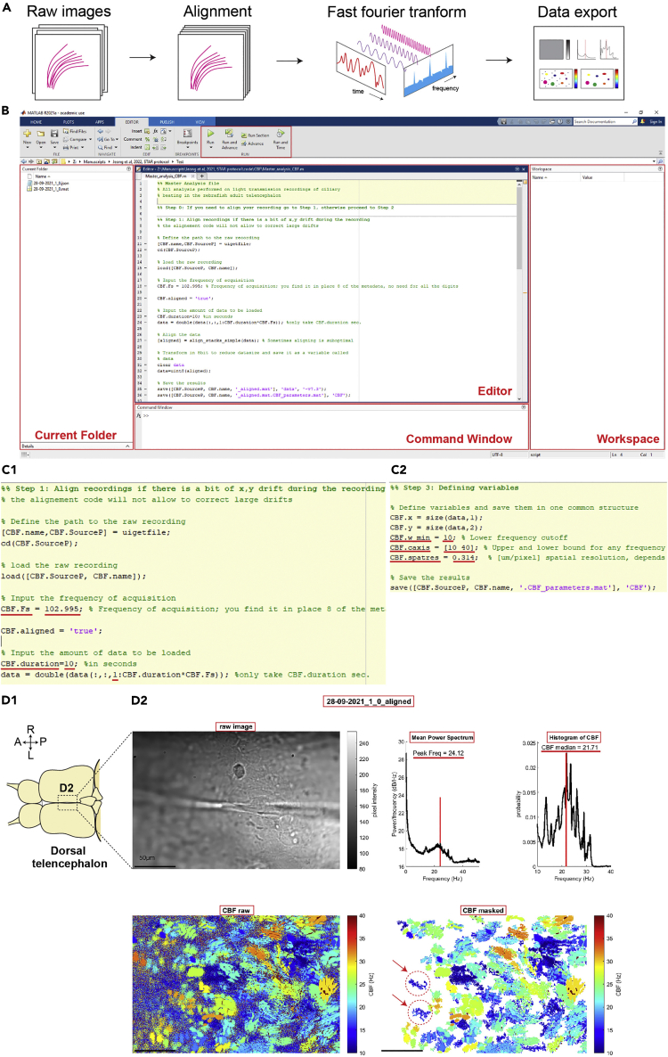 Figure 4