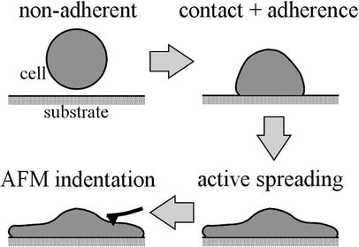 Fig. 3