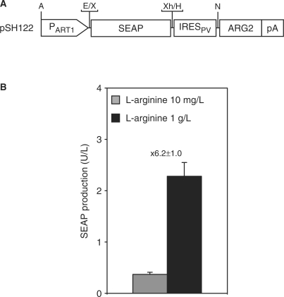 Figure 6.