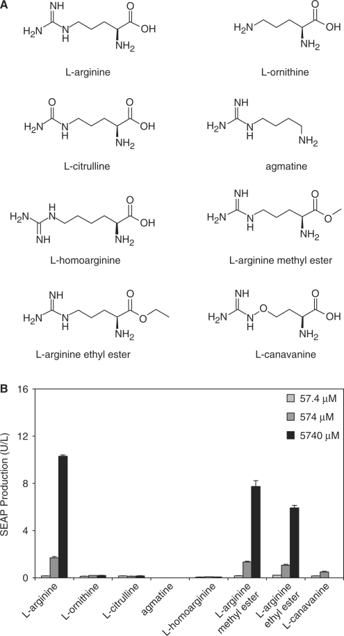 Figure 7.