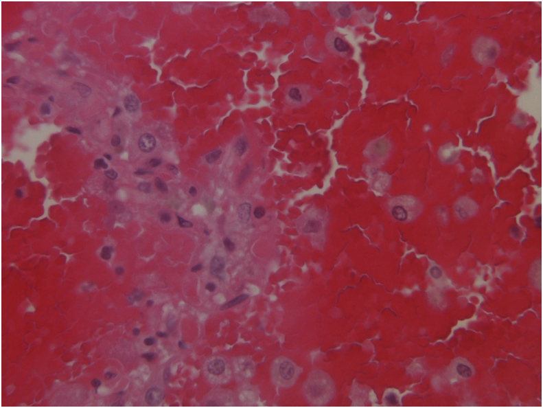 Fig. 3