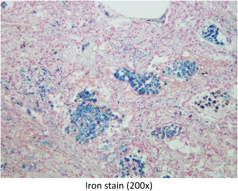 Fig. 7
