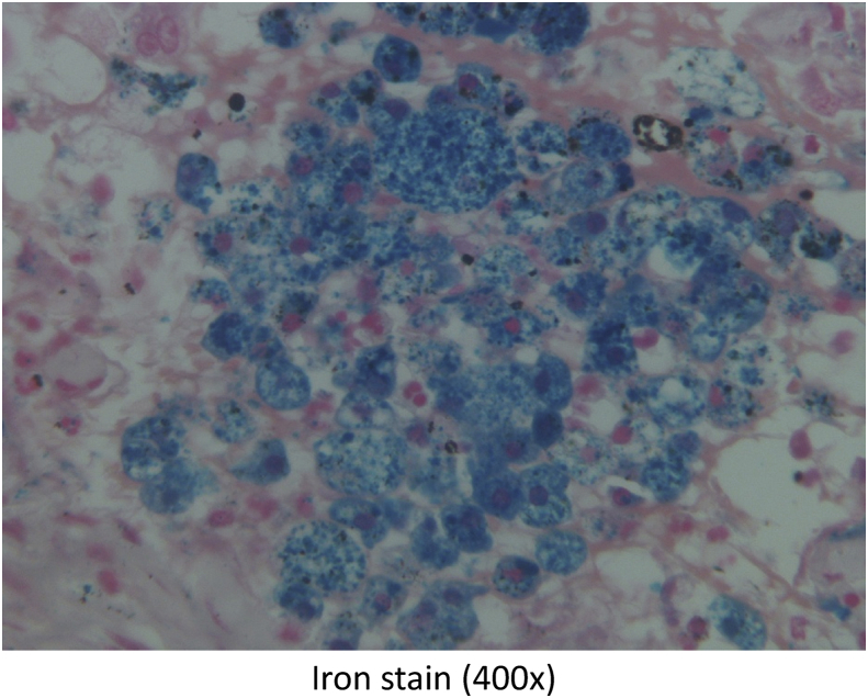 Fig. 8