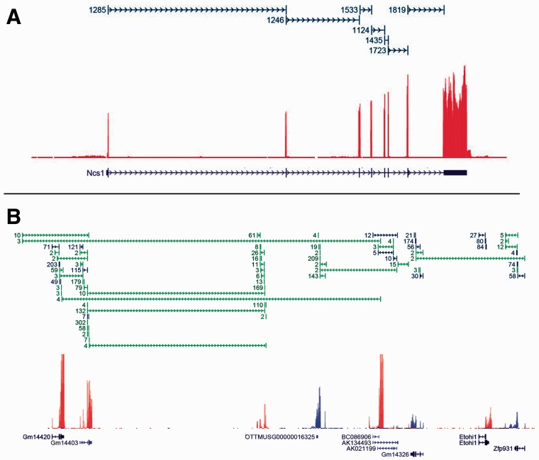 Fig. 2.