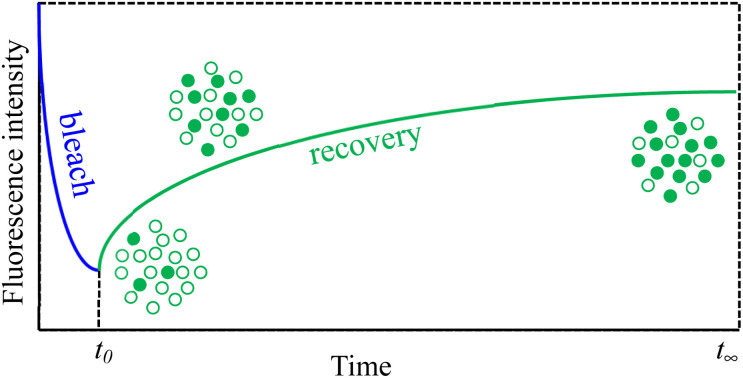 graphic file with name d3ra08718b-ga.jpg