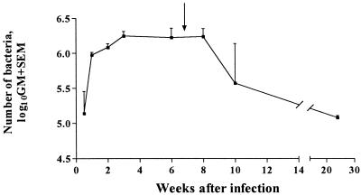 FIG. 1.