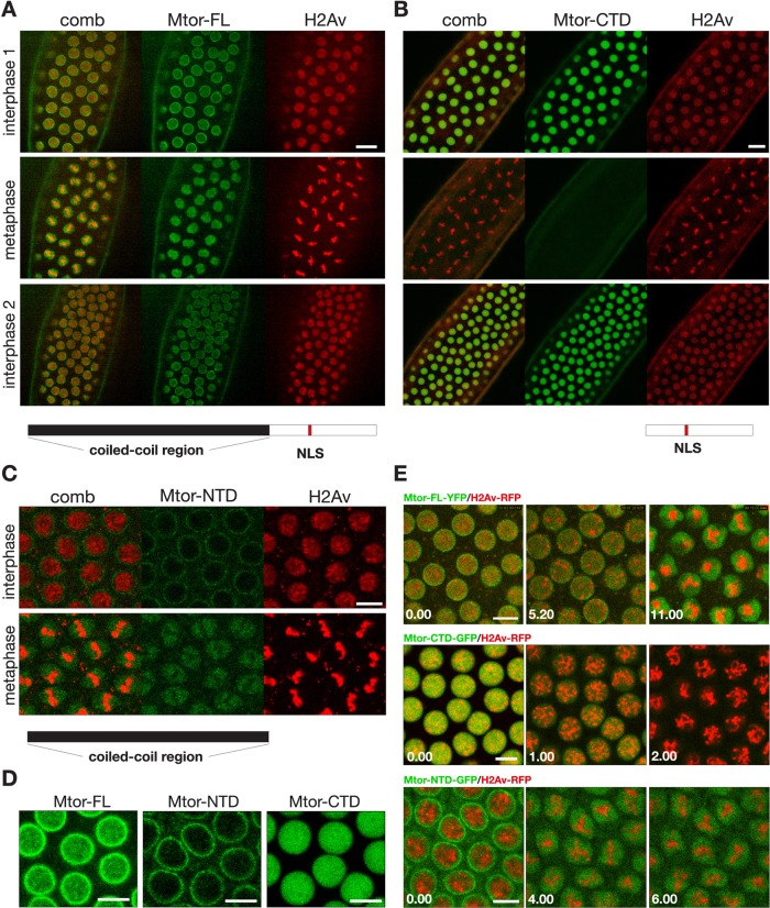 FIGURE 6: