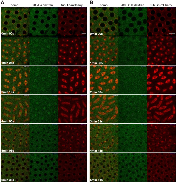 FIGURE 4: