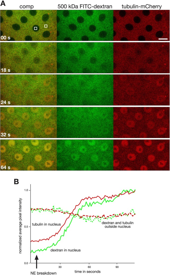 FIGURE 3: