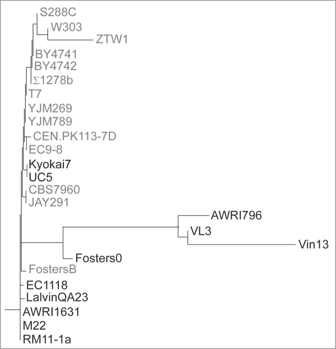 Figure 2.