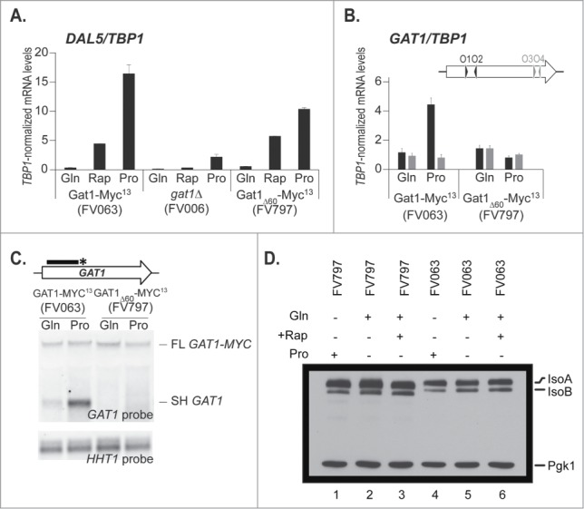 Figure 6.