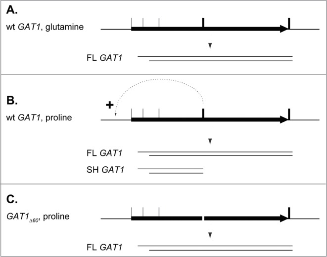 Figure 9.