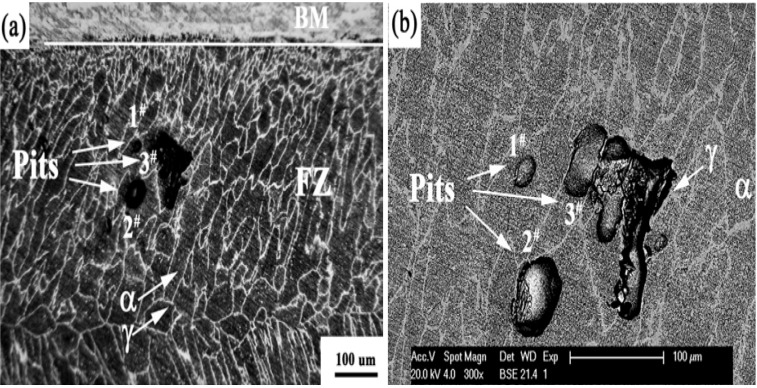 Figure 33