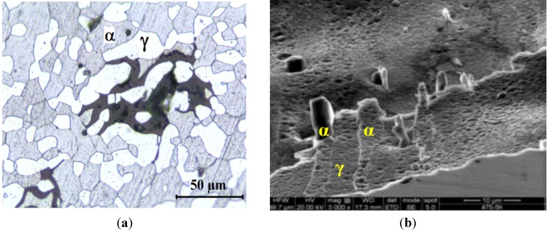 Figure 26