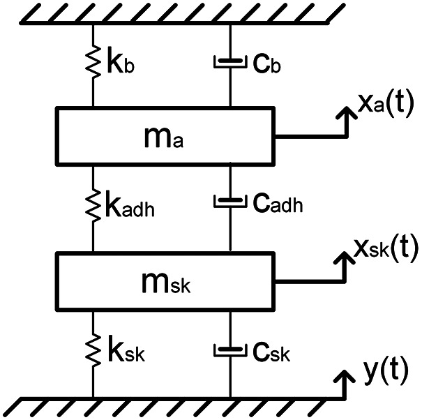 Mechanical system model of the accelerometer with the backing body