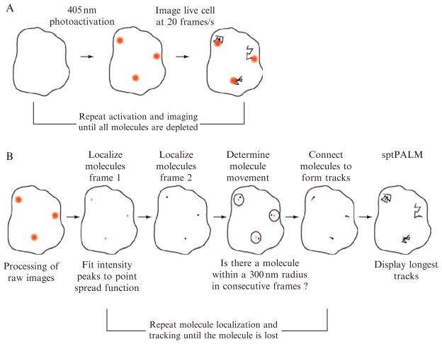 Figure 5.2