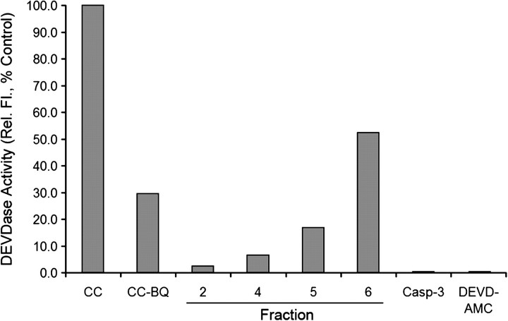 FIG. 5.