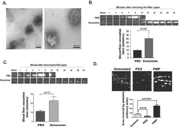 Figure1