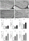 Fig 5.