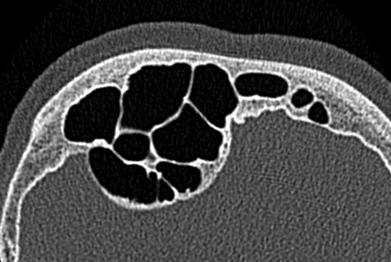 Fig. 5
