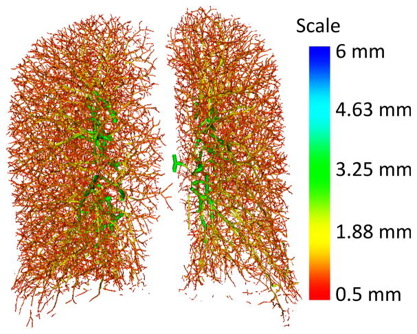 Fig. 2