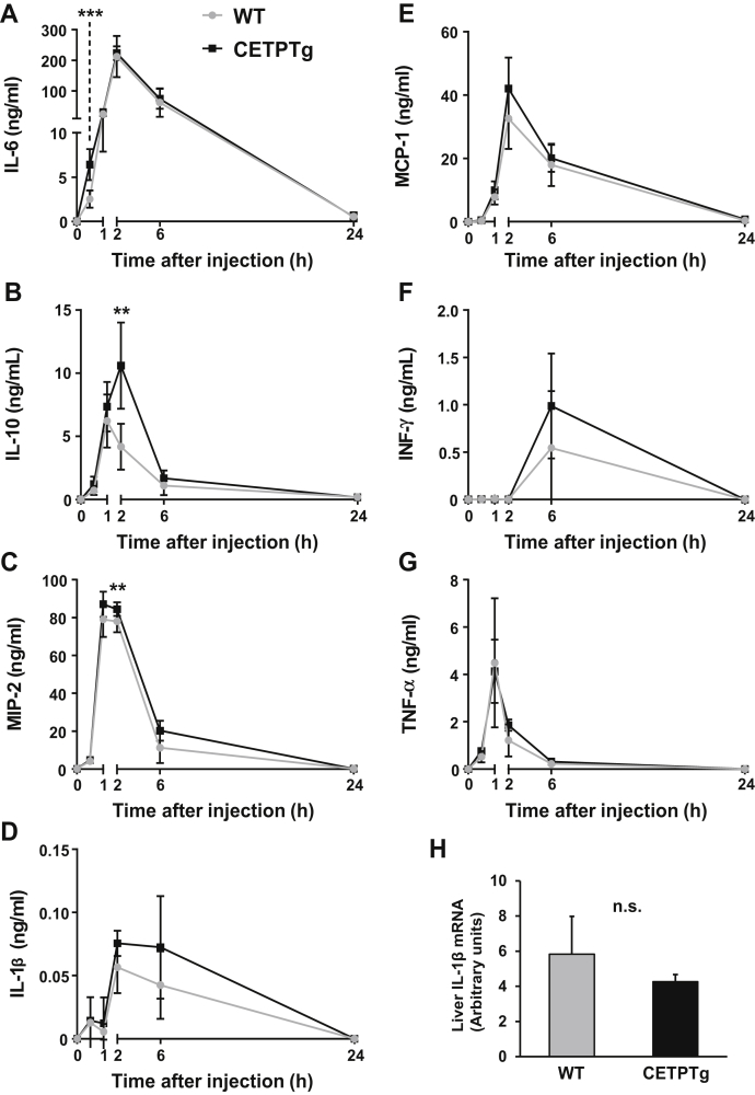 Fig. 3