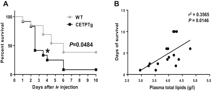 Fig. 6