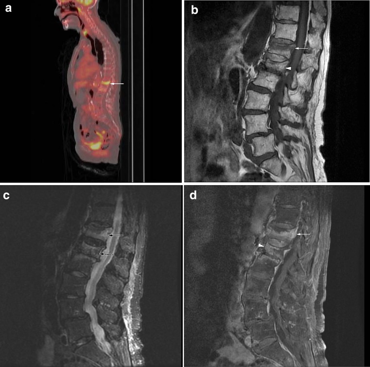 Fig. 7