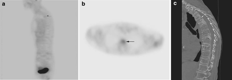 Fig. 4