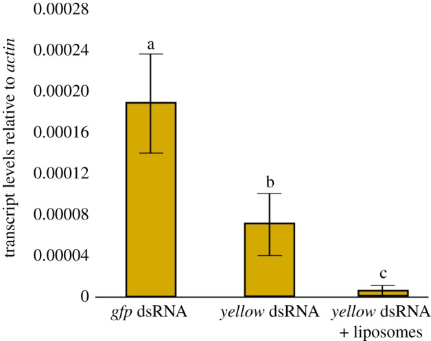 Figure 5.