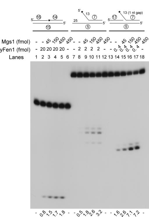 Figure 5