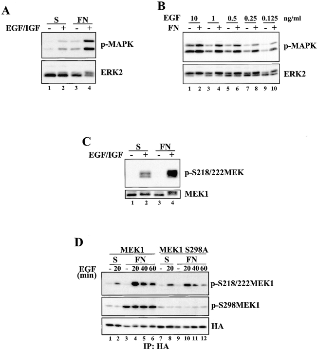 Figure 10.