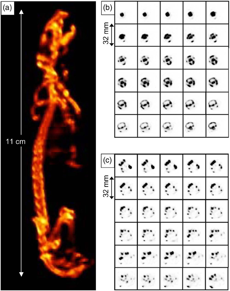 FIG. 7