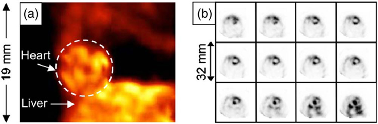 FIG. 8