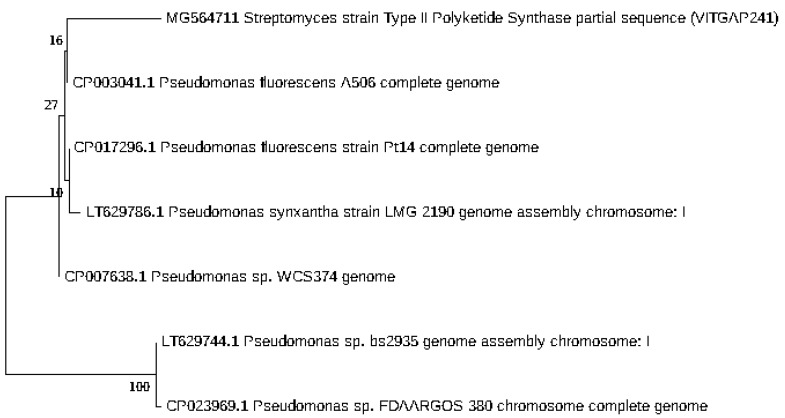 Figure 7