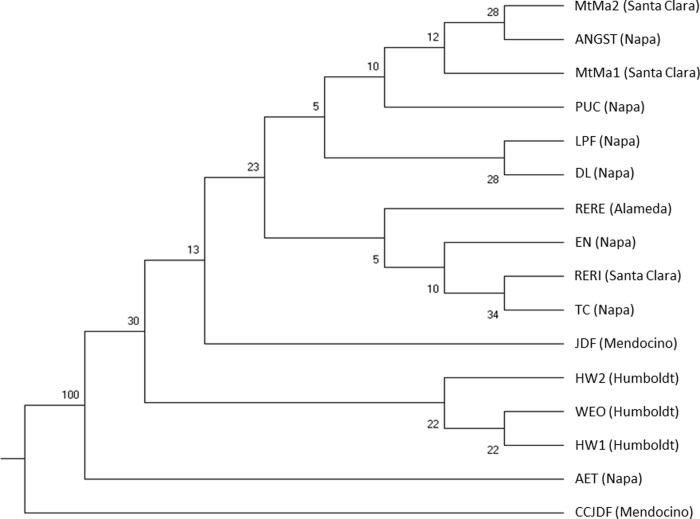 Fig 4