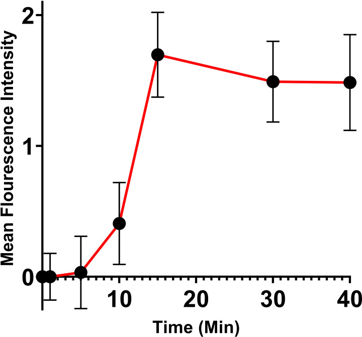 Fig 6