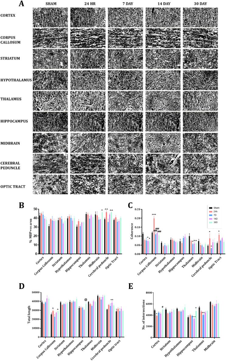 Fig. 7: