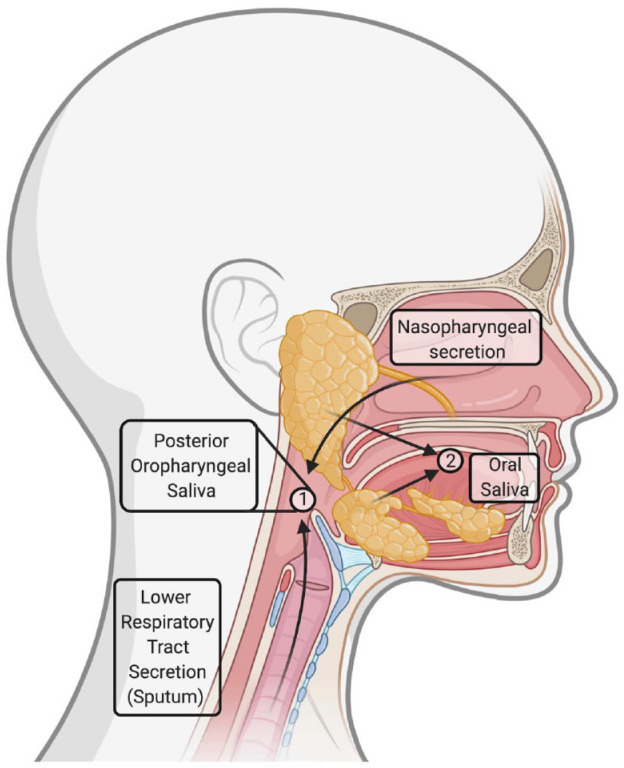 Fig. 2.