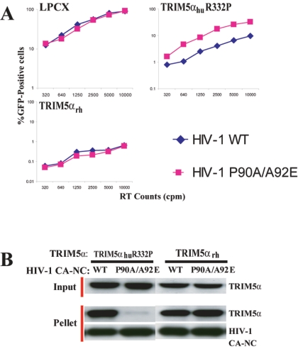 FIG. 6.