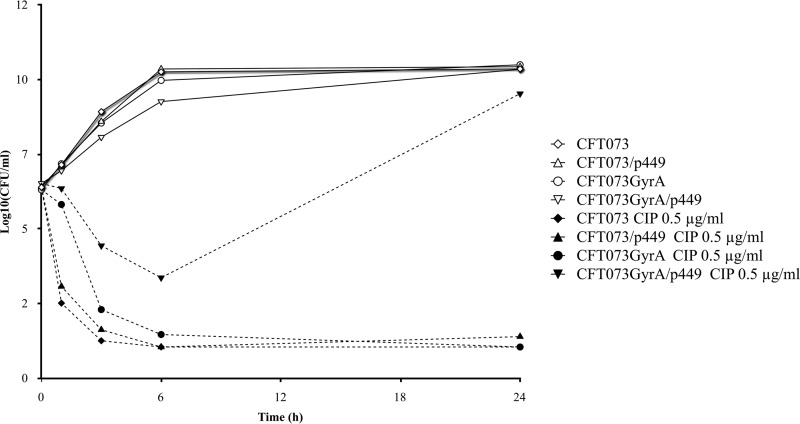 Fig 2