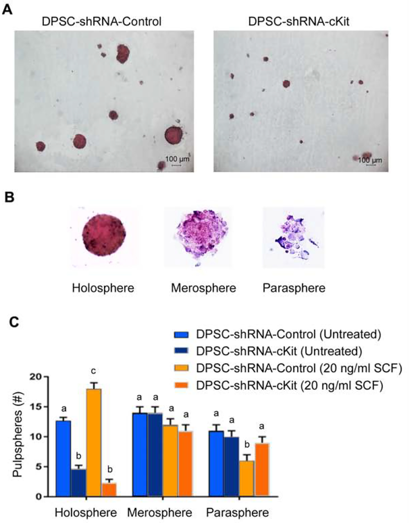 Figure 4: