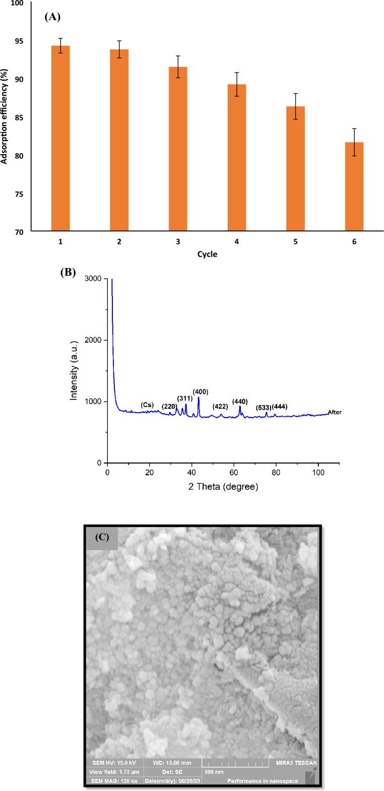 Figure 13