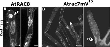 Figure 13.