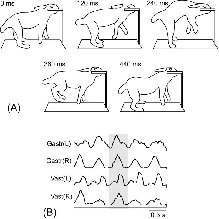 Fig. 8