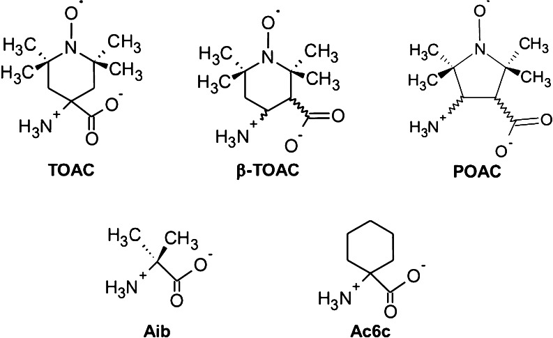 Fig. 2