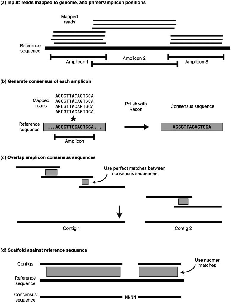 Figure 11: