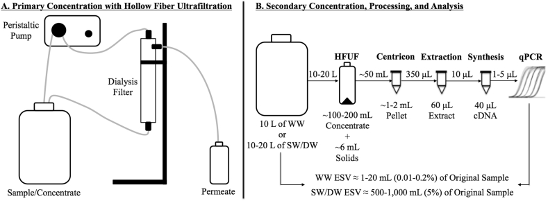 Fig. 1