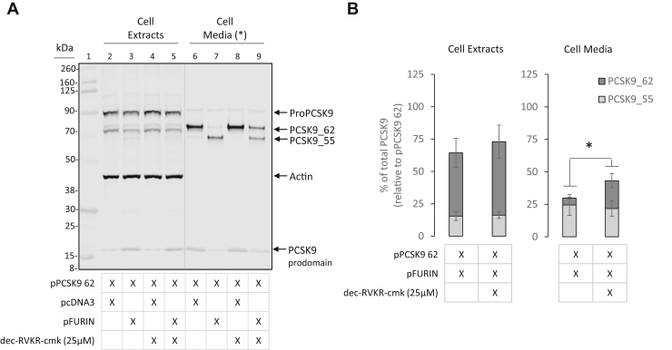 Fig. 2