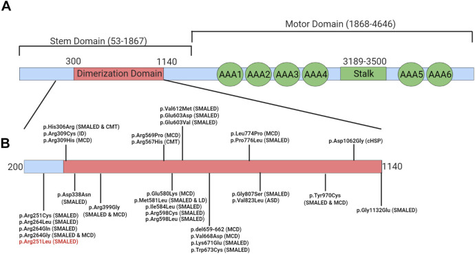 Figure 2.